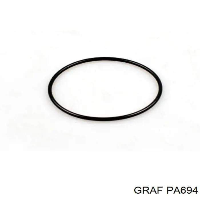 Купить PA694 Graf Насос охлаждения