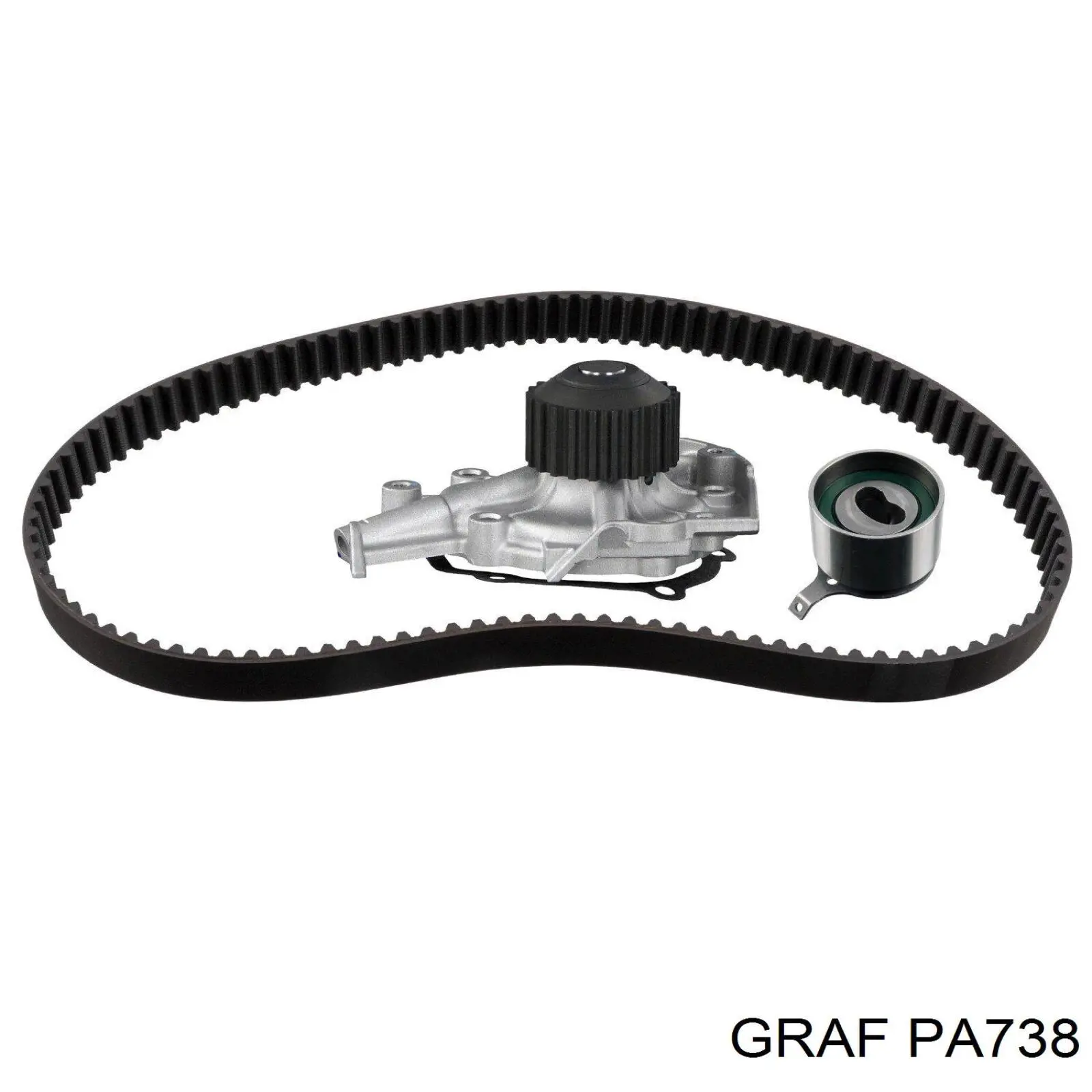 PA738 Graf