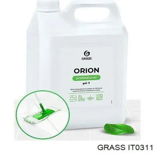 IT0311 Grass