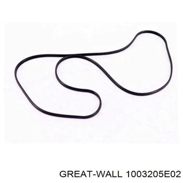 1003205-E02 Great Wall прокладка клапанной крышки