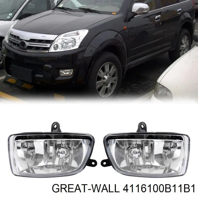  4116100B11B1 Great Wall