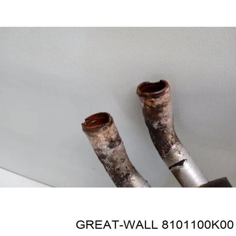 8101100K00 Great Wall