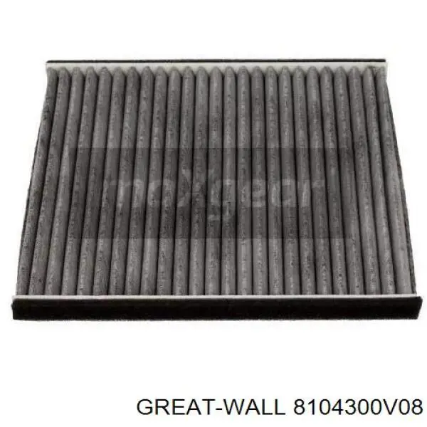8104300-V08 Great Wall filtro de salão