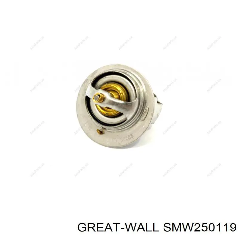 Датчик указателя температуры охлаждающей жидкости Great Wall SMW250119 цена, от 2.91 USD