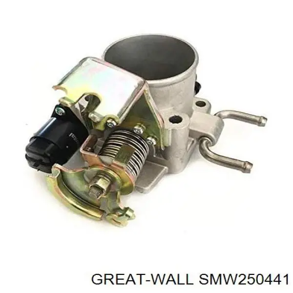  SMW250441 Great Wall