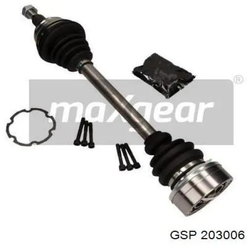 203006 GSP
