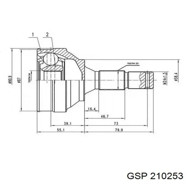 210253 GSP