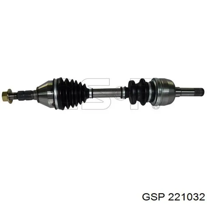 221032 GSP