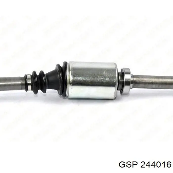 244016 GSP