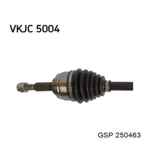 250463 GSP