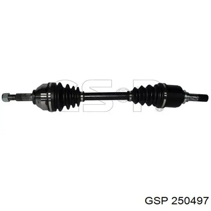 250497 GSP