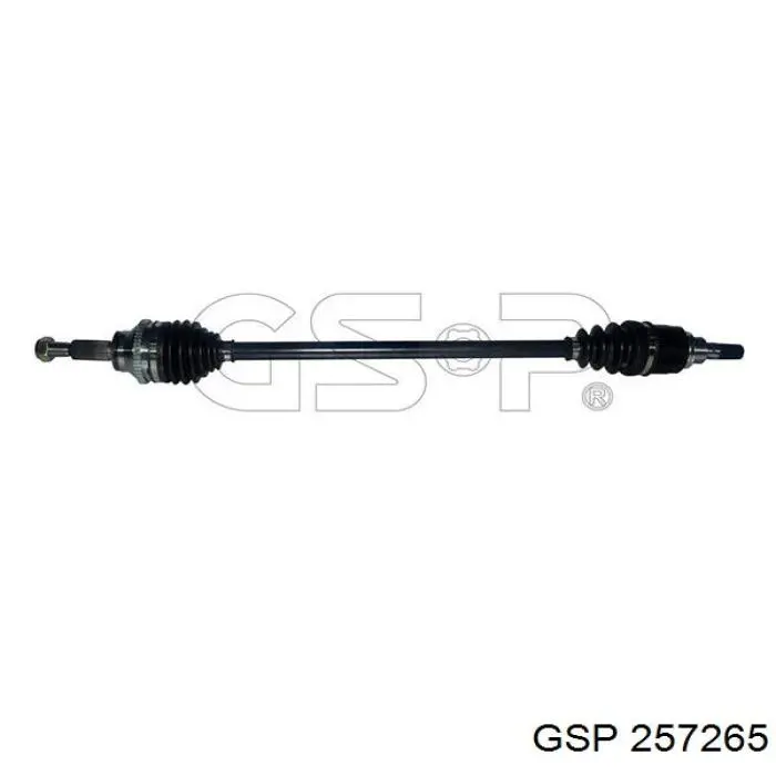 257265 GSP