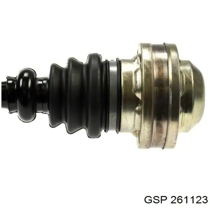 261123 GSP