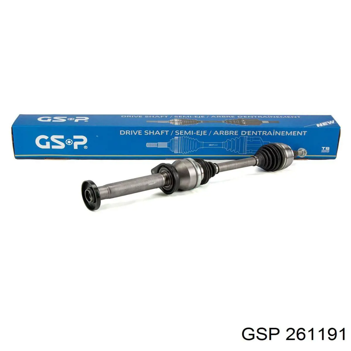 261191 GSP