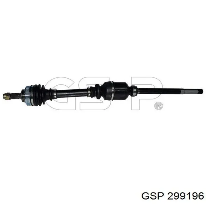 299196 GSP