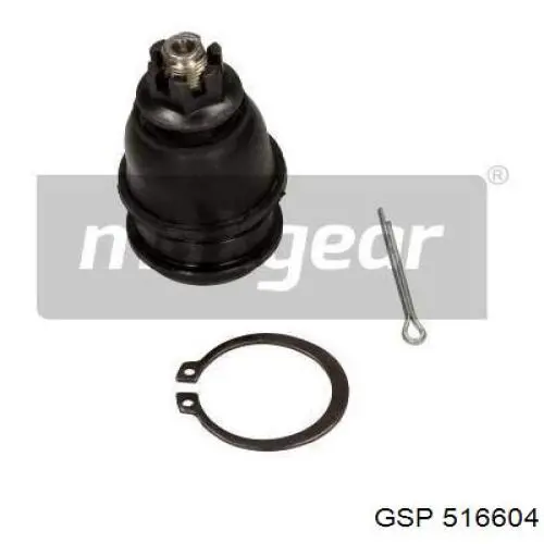  516604 GSP