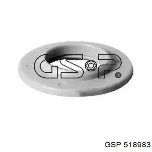 518983 GSP