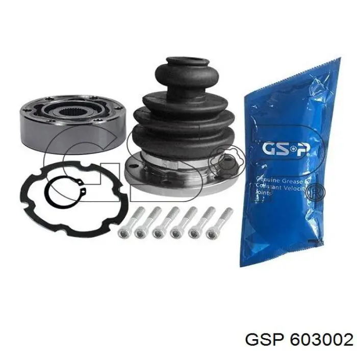 603002 GSP