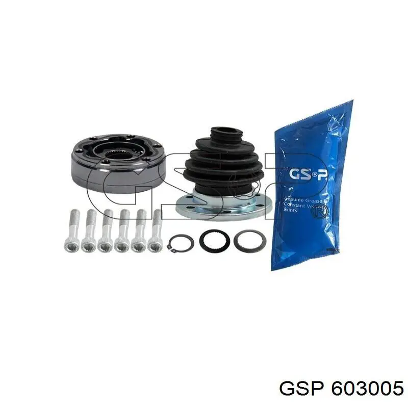 603005 GSP