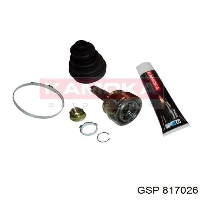 ШРУС наружный передний 71721344 Fiat/Alfa/Lancia