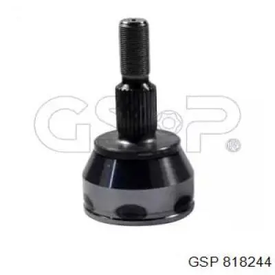 818244 GSP