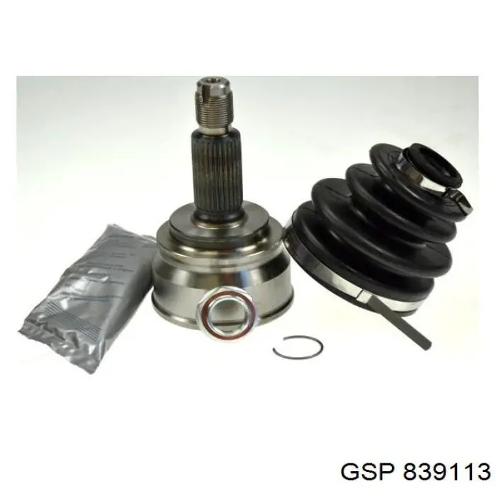 839113 GSP