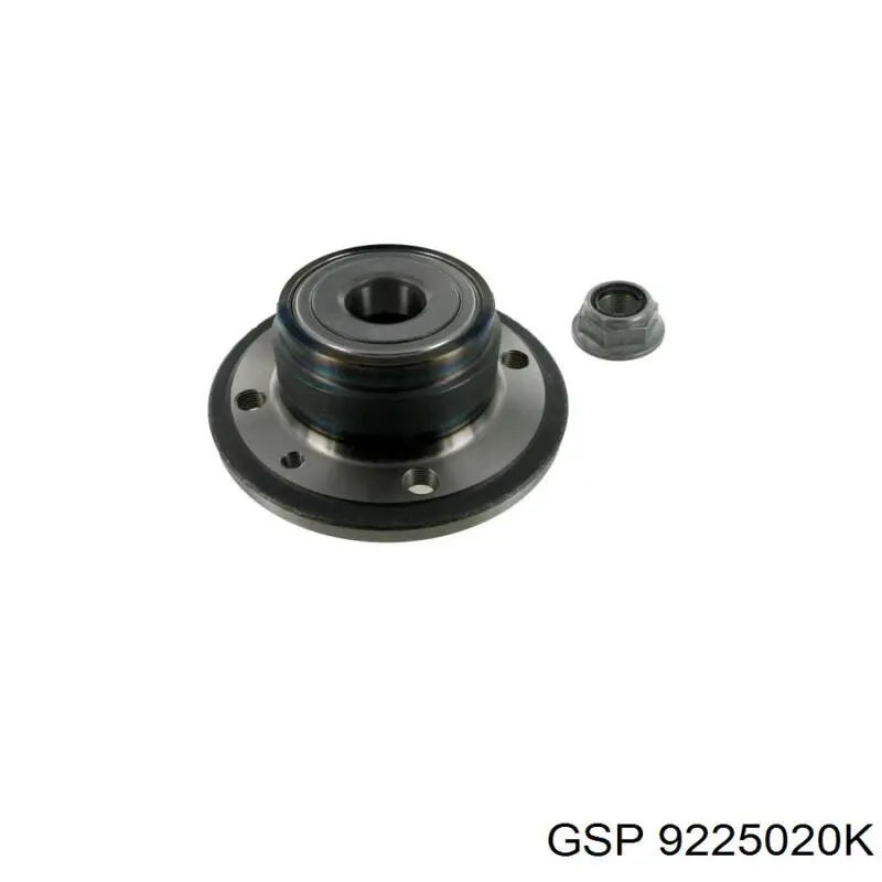 9225020K GSP Ступица задняя