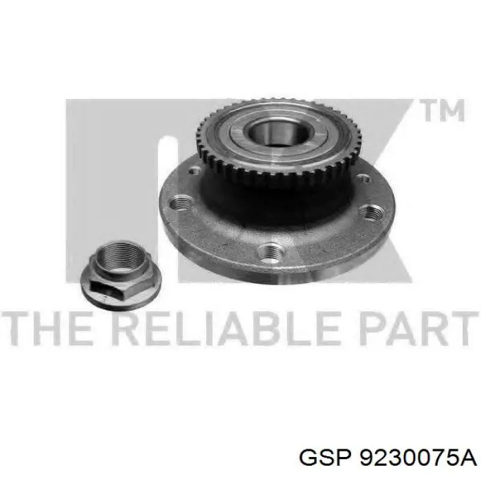 Ступица заднего колеса Renault (RVI) 6025370612