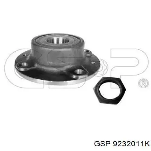 9232011K GSP Ступица задняя
