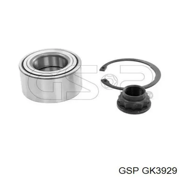 GK3929 GSP