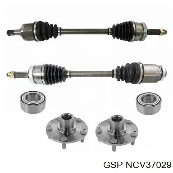  NCV37029 GSP