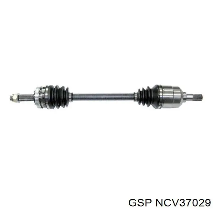  NCV37029 GSP