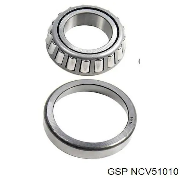  NCV51010 GSP