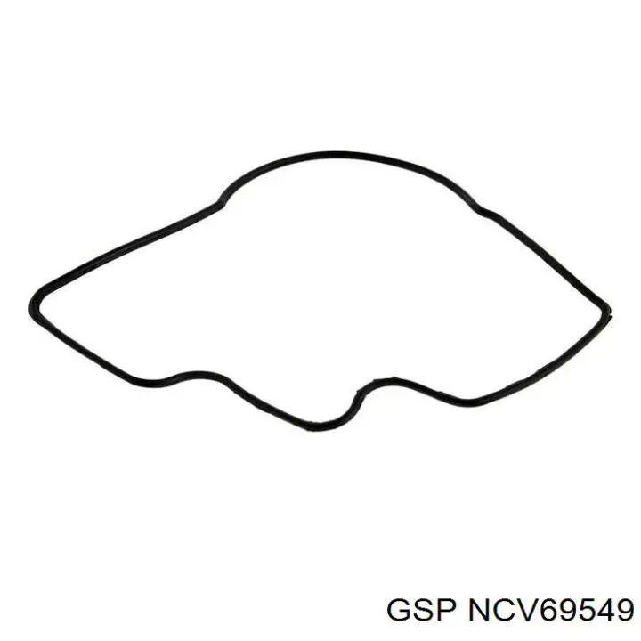 NCV69549 GSP