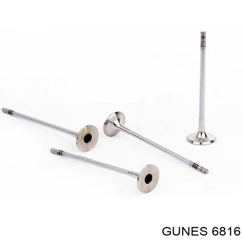 6816 Gunes