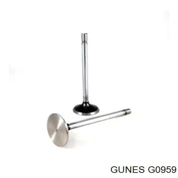 G0959 Gunes