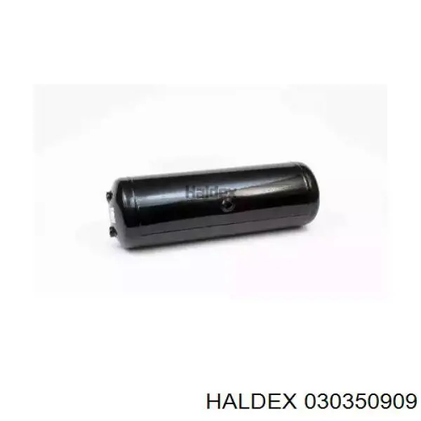  030350909 Haldex