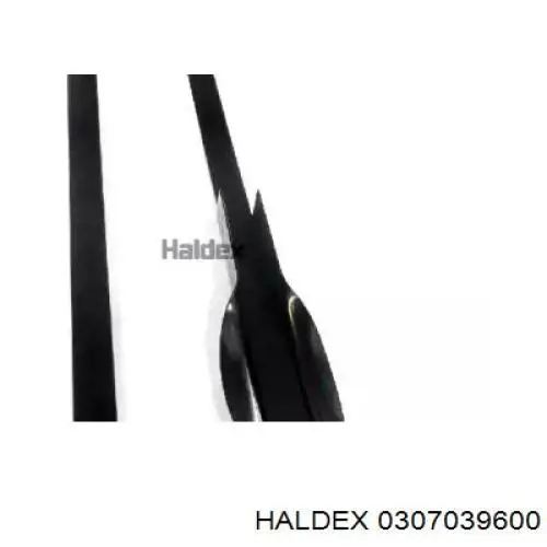  0307039600 Haldex