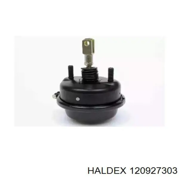  120927303 Haldex