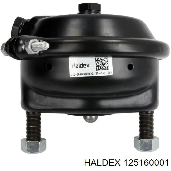 125160001 Haldex камера тормозная (энергоаккумулятор)