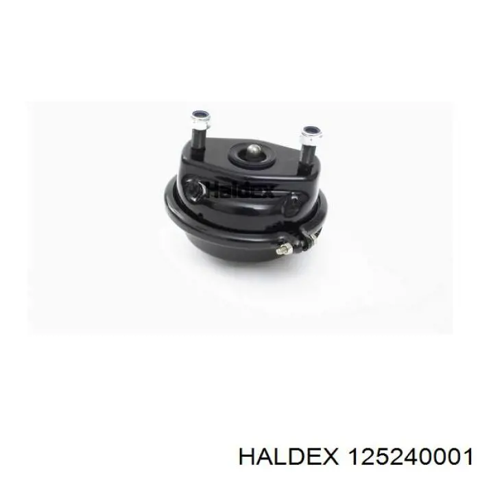 125240001 Haldex 