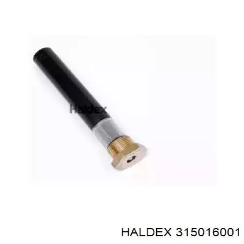  315016001 Haldex