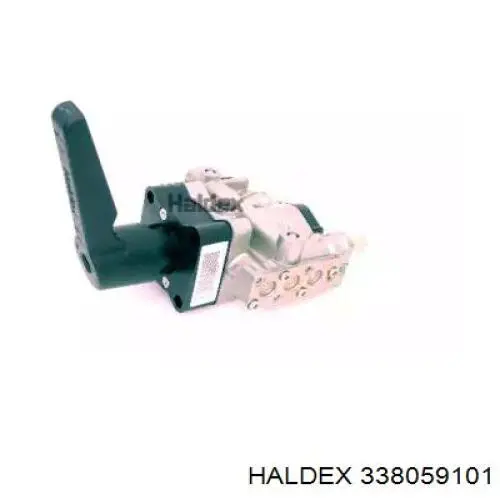  338059101 Haldex