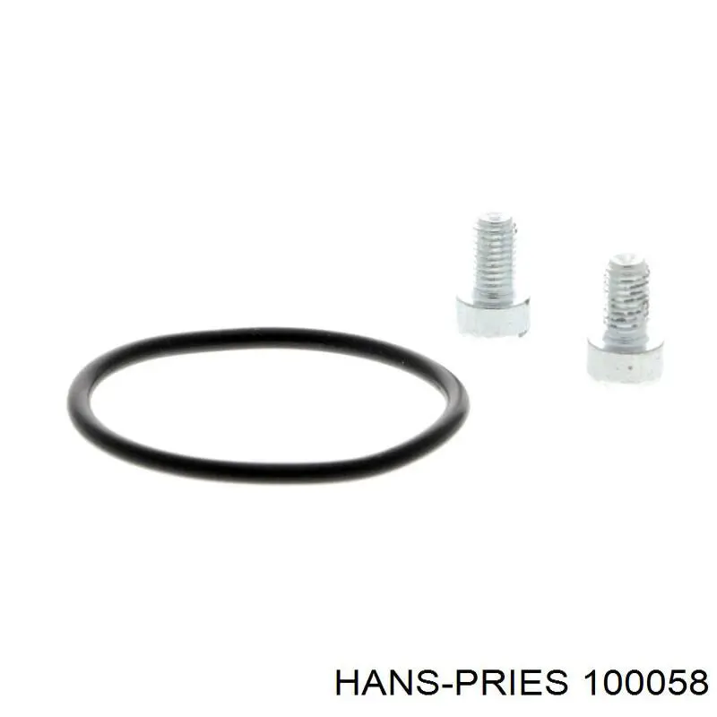 Купить 100058 Hans Pries (Topran) Направляющая первичного вала КПП