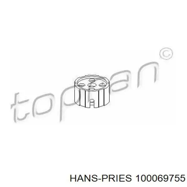 Выжимной подшипник 100069755 Hans Pries (Topran)