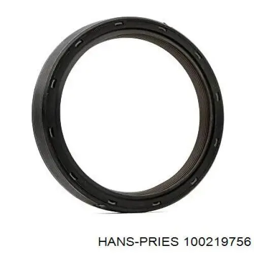 100219756 Hans Pries (Topran) Топливный насос, механический