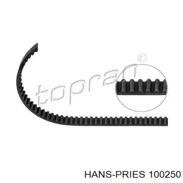 Ремень ГРМ 100250 Hans Pries (Topran)