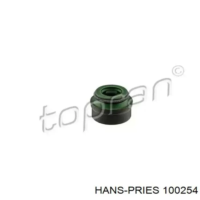 100254 Hans Pries (Topran) сальник клапана (маслосъемный, впуск/выпуск, комплект на мотор)