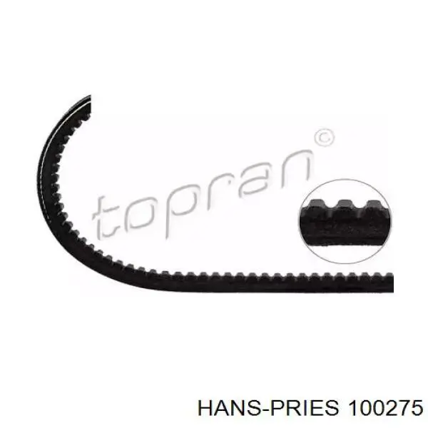 100275 Hans Pries (Topran) ремень генератора