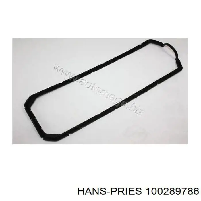 100 289 786 Hans Pries (Topran) прокладка клапанной крышки